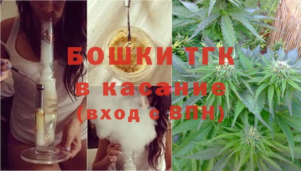 бошки Белокуриха