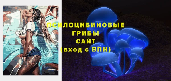 стафф Белоозёрский