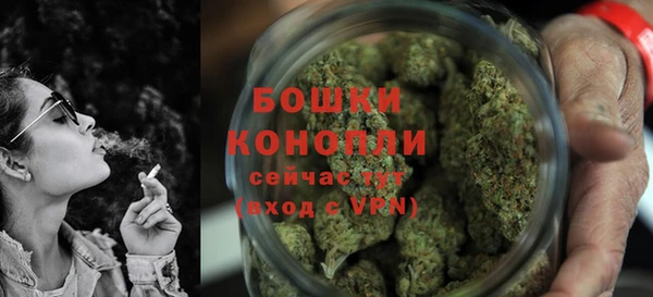 бошки Белокуриха