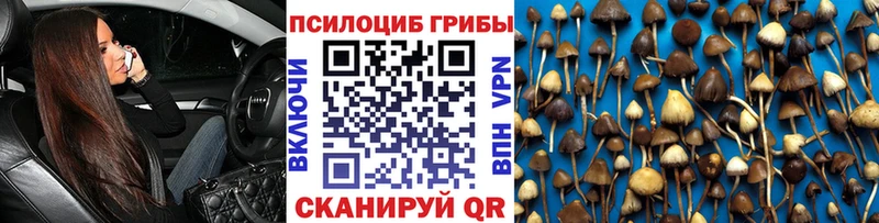 Купить Белово Псилоцибиновые грибы прущие грибы
